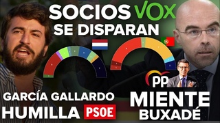 ¡LOS SOCIOS DE VOX SE DISPARAN, EL PP DE FEIJÓO MIENTE SOBRE BUXADÉ Y GARCÍA-GALLARDO HUMILLA A PSOE