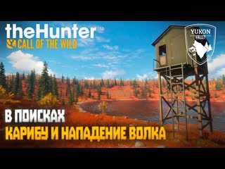 В поисках карибу и нападение волка, долина Юкона | theHunter Call of the Wild (2023) #27