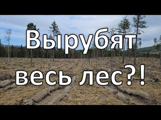 Лесоповал на Урале | разбитые дороги | поход в долину водопадов, часть 2