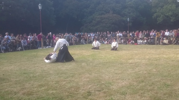 Japan taikai 2017 Daito ryu aiki