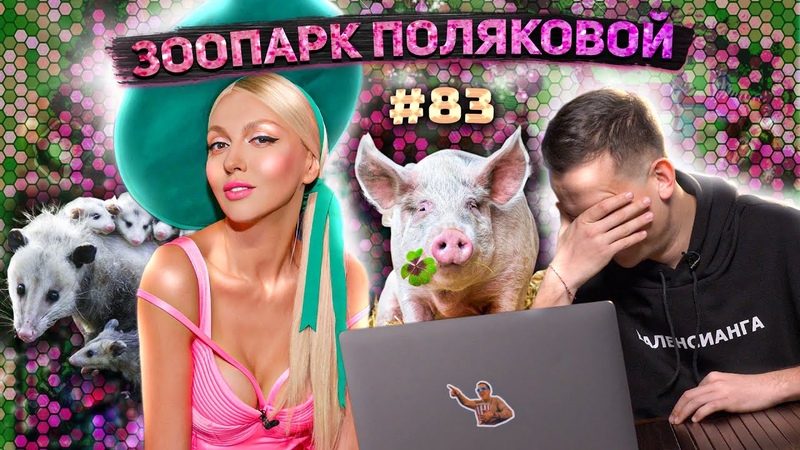 Книга Поляковой, Филонова теперь гадалка, Бумыч из NAVI попал
