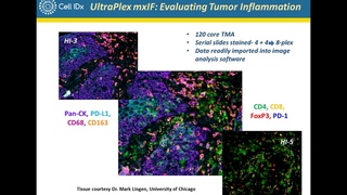 Multiplex Immunofluorescence Profiling of Tumor Biopsies Using UltraPlex mxIF Technology