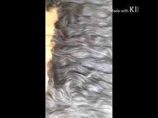 MIC HAIR CHINH - LIGHT GRAY HAIR FOR BLEACHING