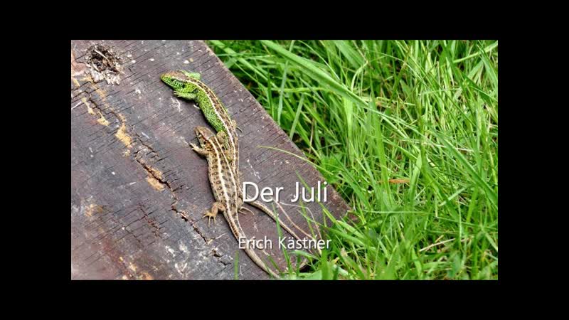 Der Juli. Erich