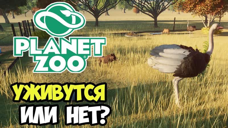 Уживутся ли кабанчики со страусами , Planet Zoo Beta ,