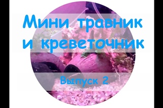 Создаем мини травник и креветочник в одном  Выпуск 2