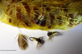 Tying the Organza Stone Clinger Nymph by Davie McPhail