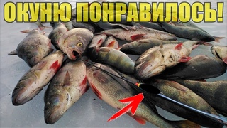 Окуню нравятся такие блёсны! Раздача мордатых на Ладоге в мороз.  Ловлю самоделками