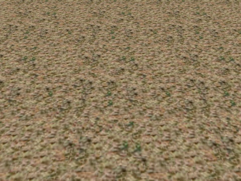41