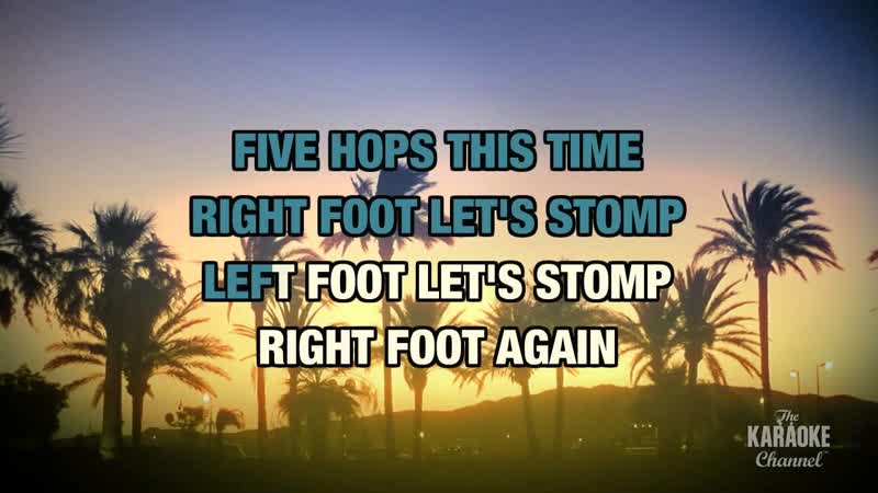Cha Cha Slide ( Radio Version) in the Style of Mr. C The Slide Man with lyrics (with lead