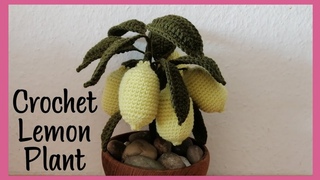 Crochet Dwarf Lemon Tree (fast & easy)