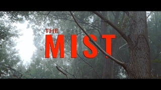 The MIST