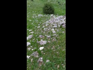 Video by Vovo Vava