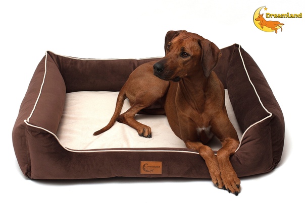 ортопедический матрас лежанка ortodog new 80х140см. лежанка для собаки свит дримс. лежанка для собак крупных пород. лежак для собак scruffs expedition box bed xl 90х70х22 см. лежанка для большой собаки.