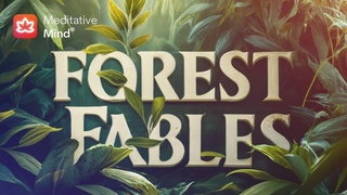 🌳 FOREST FABLES | 432Hz | Positive Transformation | Enchanted Harp + Birdsong Echoes + Rain