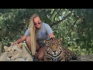 BEST BIG CAT MOMENTS