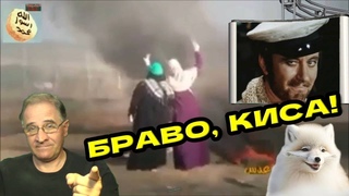 Браво, Киса! | Новости 7-40,