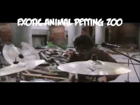 Zombies Ate My Neighbors Arsonists Get All The Girls, Hypno5e, Exotic Animal Petting