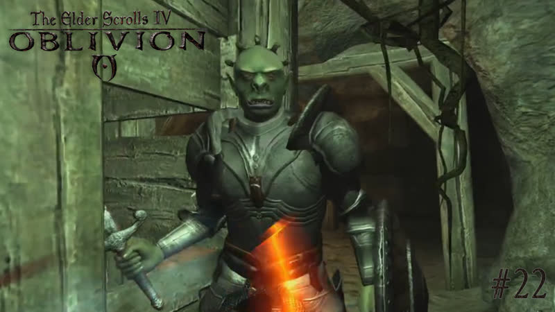 The Elder Scroll IV: Oblivion В Гробу я Видал Таких Вампиров, 13 No