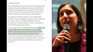 la Schlein dovrebbe candidarsi alle Elezioni Europee