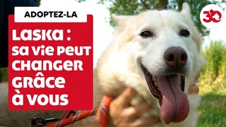 Adoptez-la : Laska a vcu 8 ans dans un garage