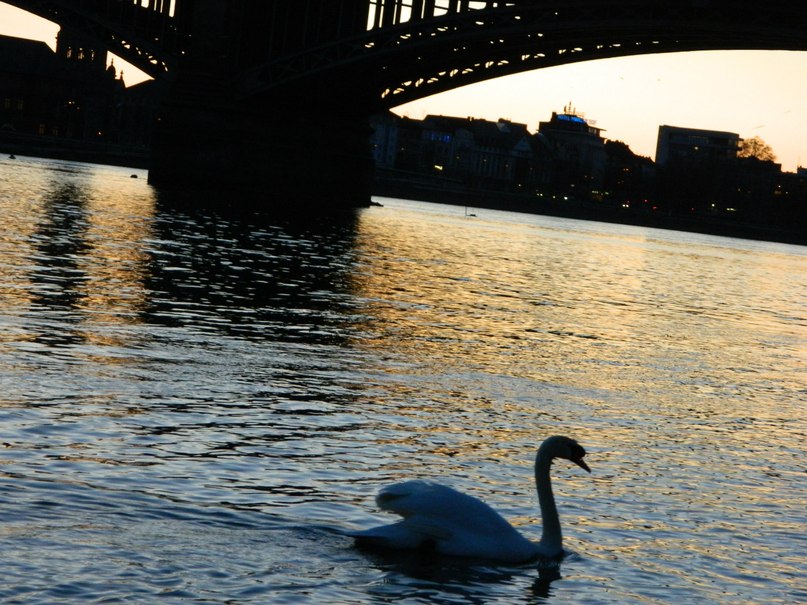 Уляна Халавка | 