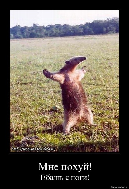 №62, Antonio Skarlatti, Kunduz №62, Antonio Skarlatti, Kunduz