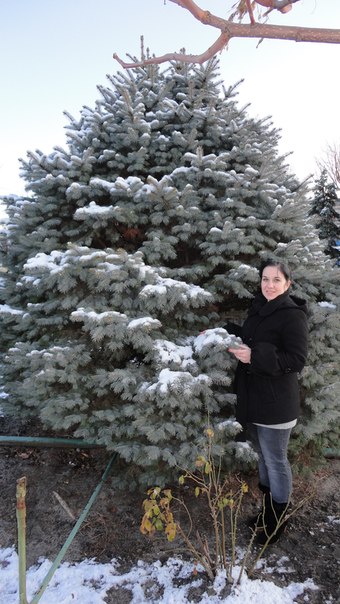 №71, Кристина Бойко, Голая Пристань №71, Кристина Бойко, Голая Пристань