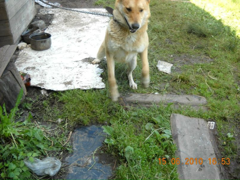 Татьяна Казанцева | Санкт-Петербург