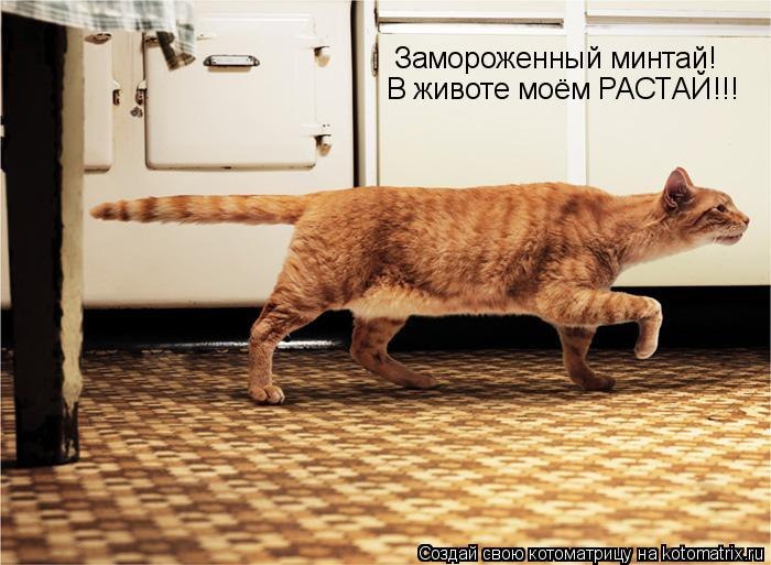 Максим Конов | Санкт-Петербург