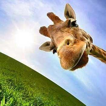 Мария Марьина | Санкт-Петербург