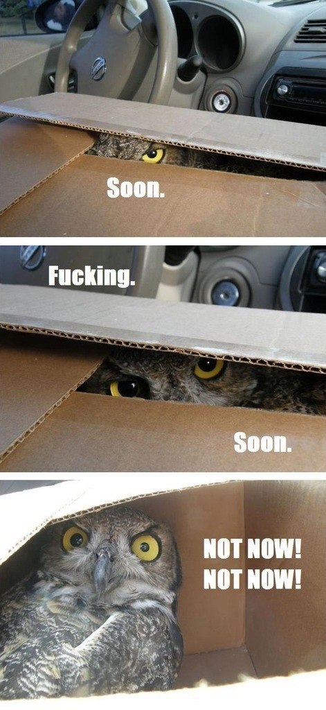 Серёга Саянский | Саяногорск