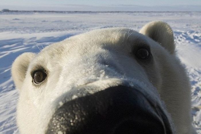 Макс Скиф | Одесса