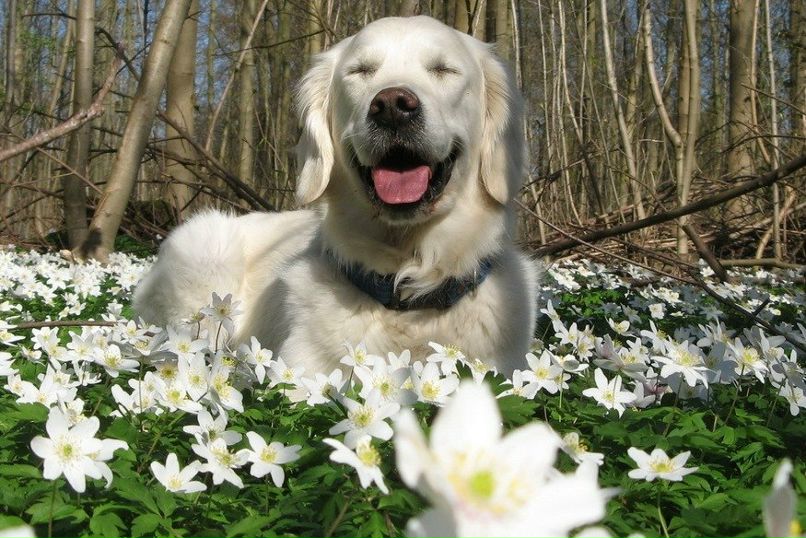 Евгений Анзин Олегович | Николаев