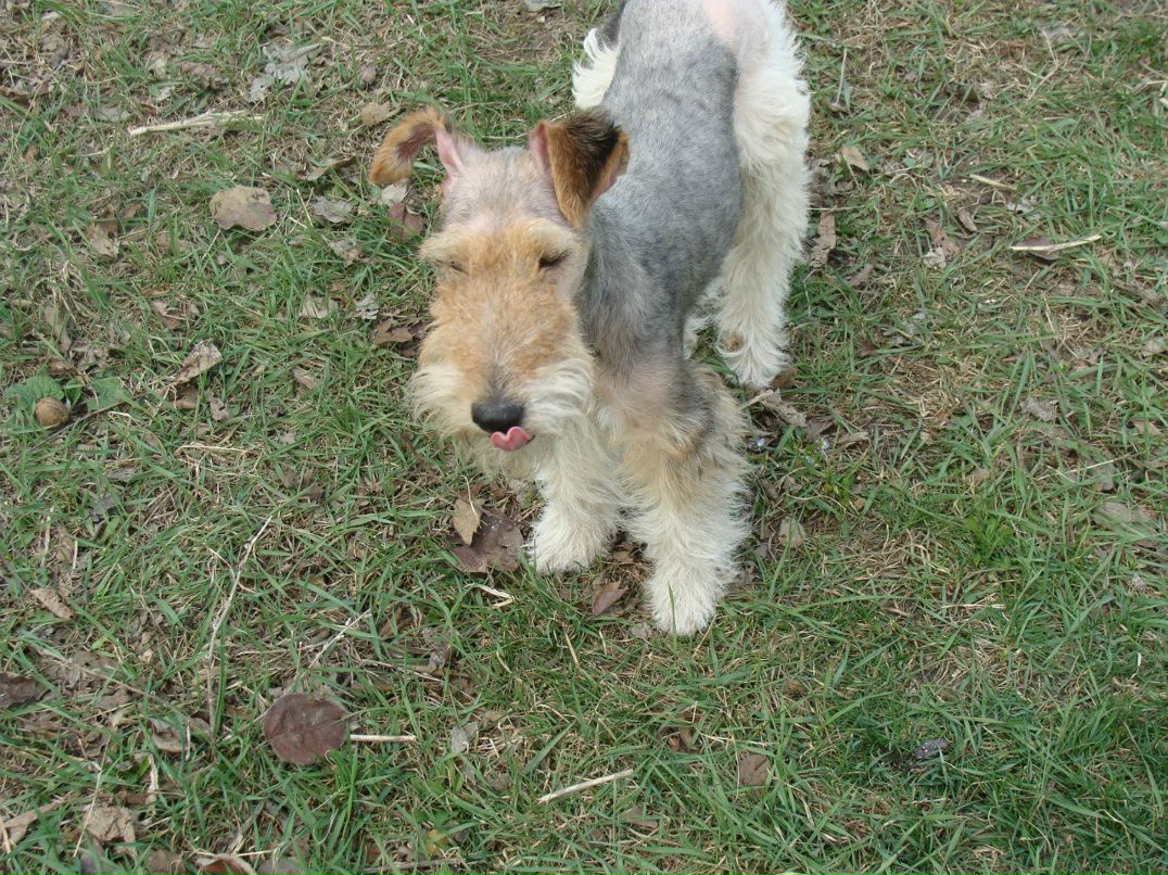 Леонид Семин | Краснодар