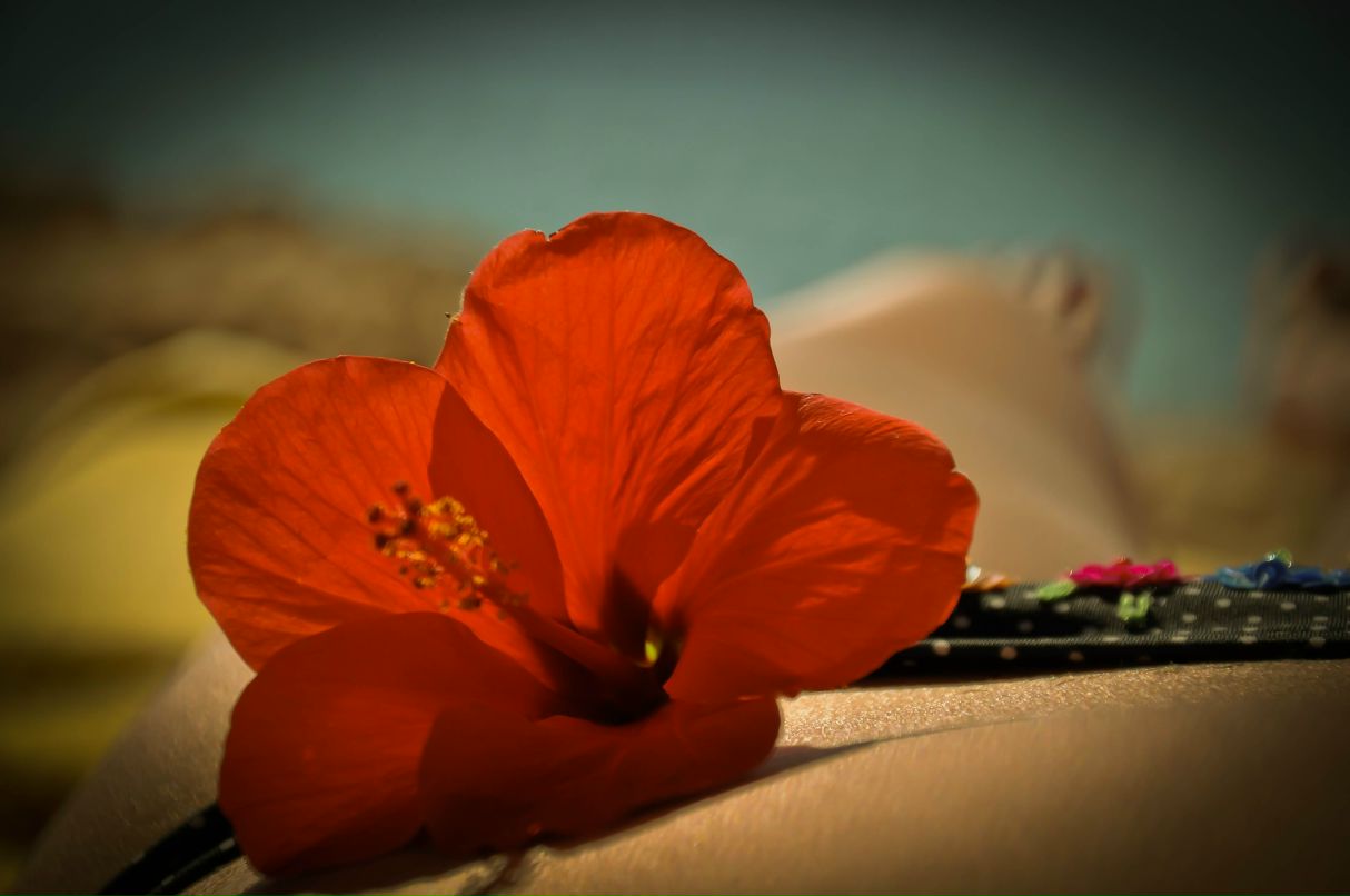 Кристина Андриевская | Linz