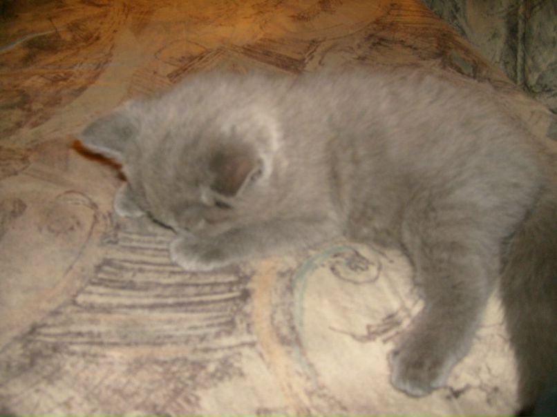 Владимир Виноградов | Санкт-Петербург