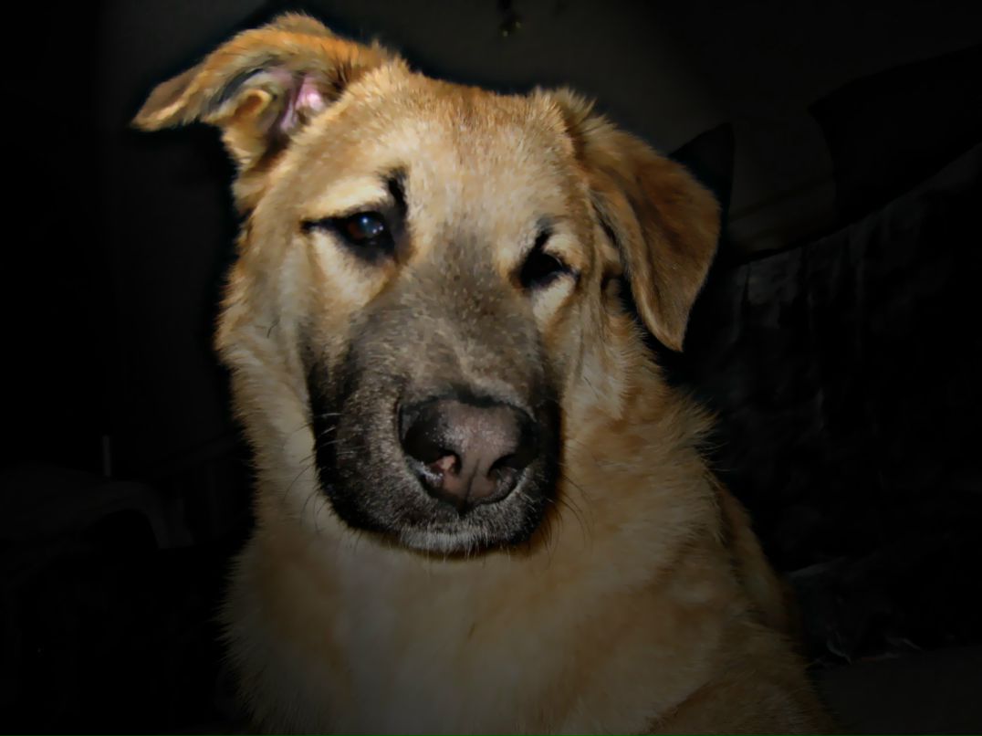 Михаил Чёрный | 