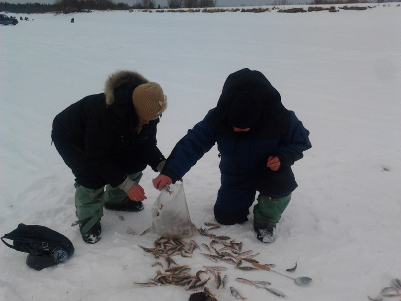 Галина Исакова | Асаново