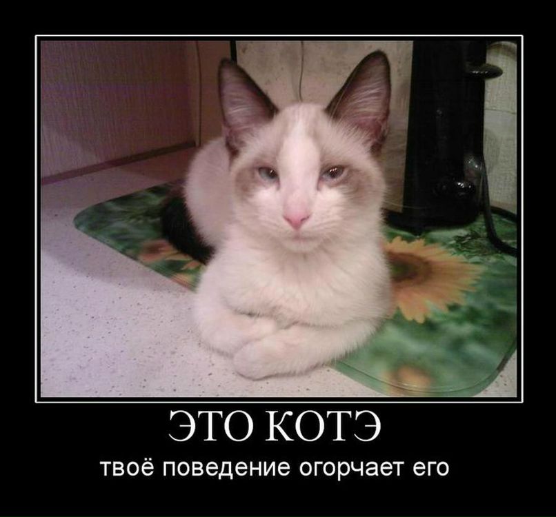 Женя Назаров | Санкт-Петербург