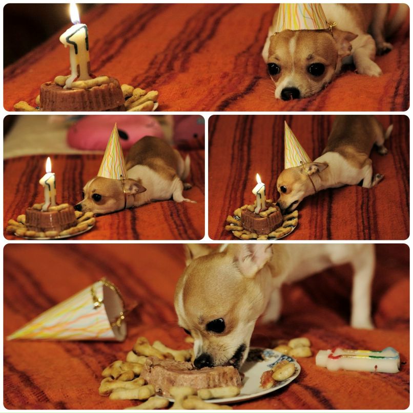 Кирилл Бондарченко | Москва