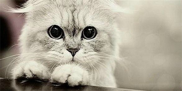 Сергей Никитин | Казань