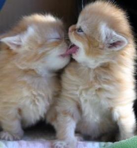 Татьяна Третьяк | Городище