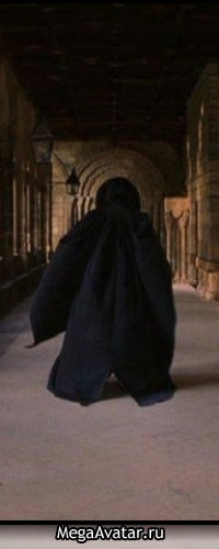 №5, Северус Снейп №5, Северус Снейп