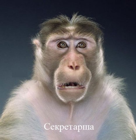 Наташа Купитман | Ростов-на-Дону