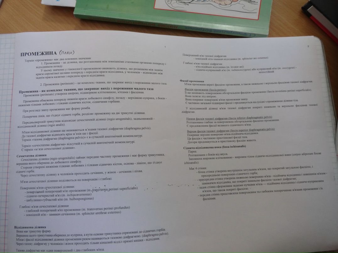 Наталья Дикая | Киев