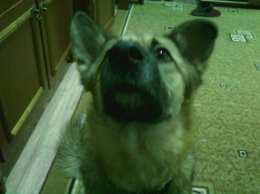 Владимир Мамаев | Ильинский