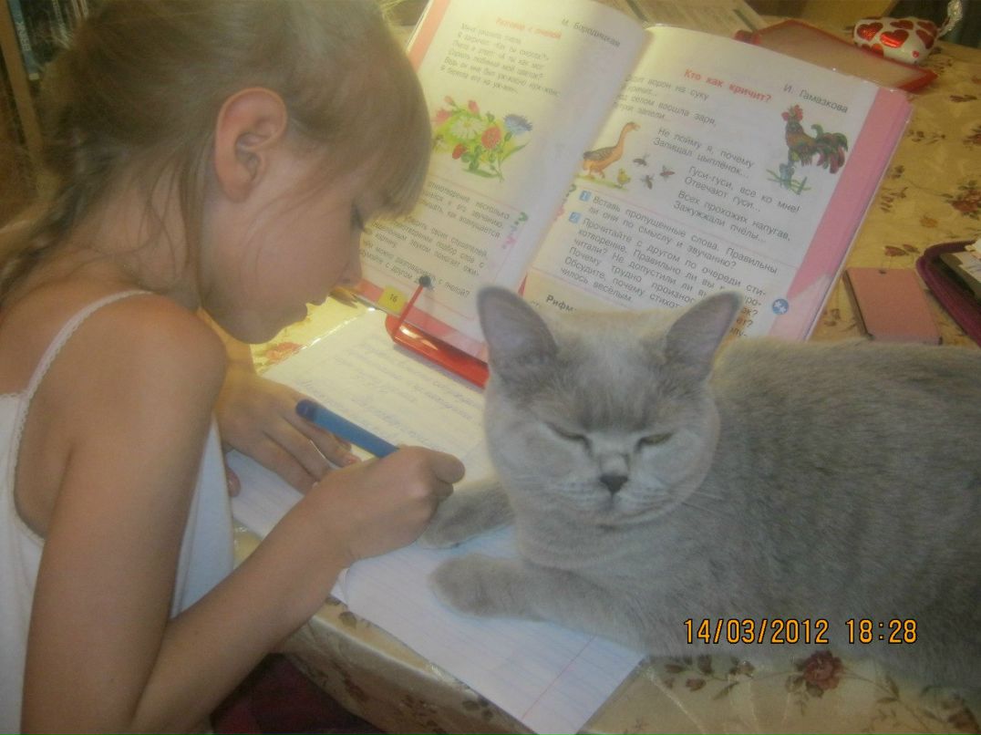 Ирина Кароннова | Москва