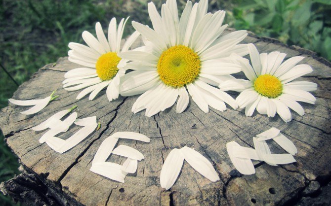 Olga Kiiko | Lipinki Łużyckie