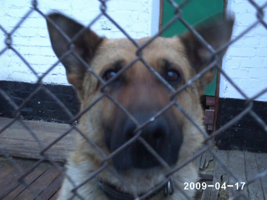 Ivan Volov | Мурманск